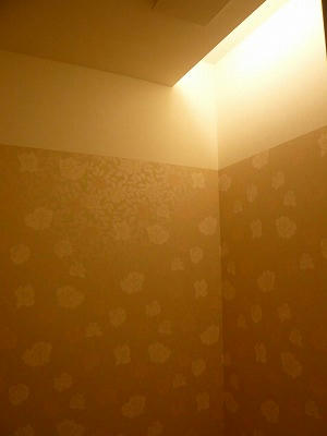 女子トイレは涅槃のイメージで