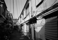 【環は一人、ハルヒのアパートへ向かう】