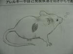 s-IMG_1200.jpg