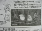 s-IMG_1201.jpg