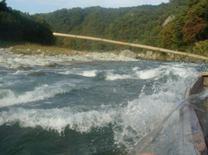 DSC00479.JPG