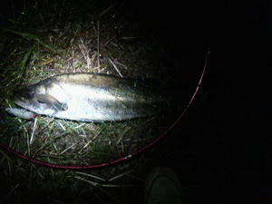 P1000076.JPG