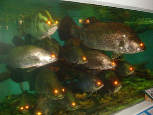 DSC01201.JPG