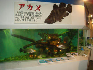 DSC01234.JPG