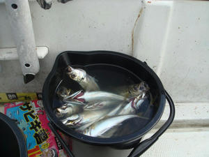 DSC01321.JPG