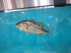 DSC01465.JPG