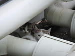 DSCF9084.jpg