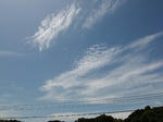 DSCF9158.jpg