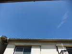 DSCF9161.jpg