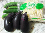DSCF9375.jpg