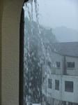 DSCF9443.jpg