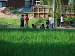 DSCF9482.jpg