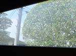 DSCF9488.jpg