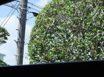 DSCF9489.jpg