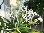 DSCF9487.jpg