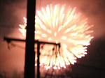 DSCF9530.jpg