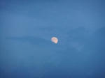 DSCF9682.jpg