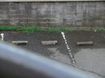 DSCF2317.jpg
