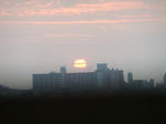 DSCF2390.jpg