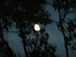 DSCF2392.jpg