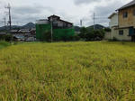 DSCF2414.jpg