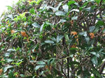DSCF4123.jpg