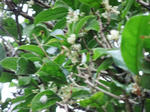 DSCF4144.jpg