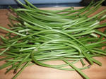 DSCF4173.jpg