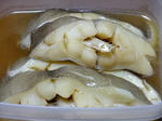 DSCF4186.jpg