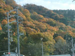DSCF4484.jpg
