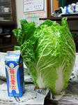 DSCF4490.jpg
