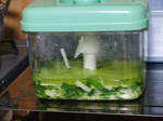 DSCF4492.jpg