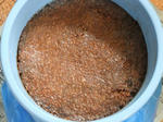 DSCF4455.jpg