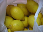 DSCF4533.jpg