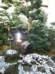 DSCF6111.jpg