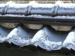 DSCF6113.jpg