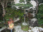 DSCF6107.jpg