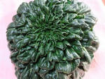 DSCF9170.jpg
