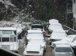 DSCF9290.jpg