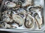 DSCF9204.jpg