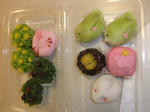 DSCF9339.jpg