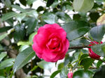 DSCF9356.jpg
