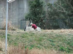 DSCF9411.jpg