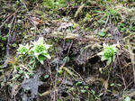 DSCF9516.jpg