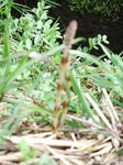 DSCF9535.jpg