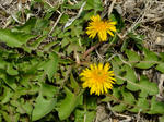 DSCF9564.jpg