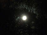 DSCF9721.jpg