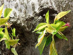 DSCF9735.jpg