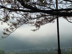 DSCF9736.jpg