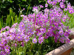 DSCF9739.jpg